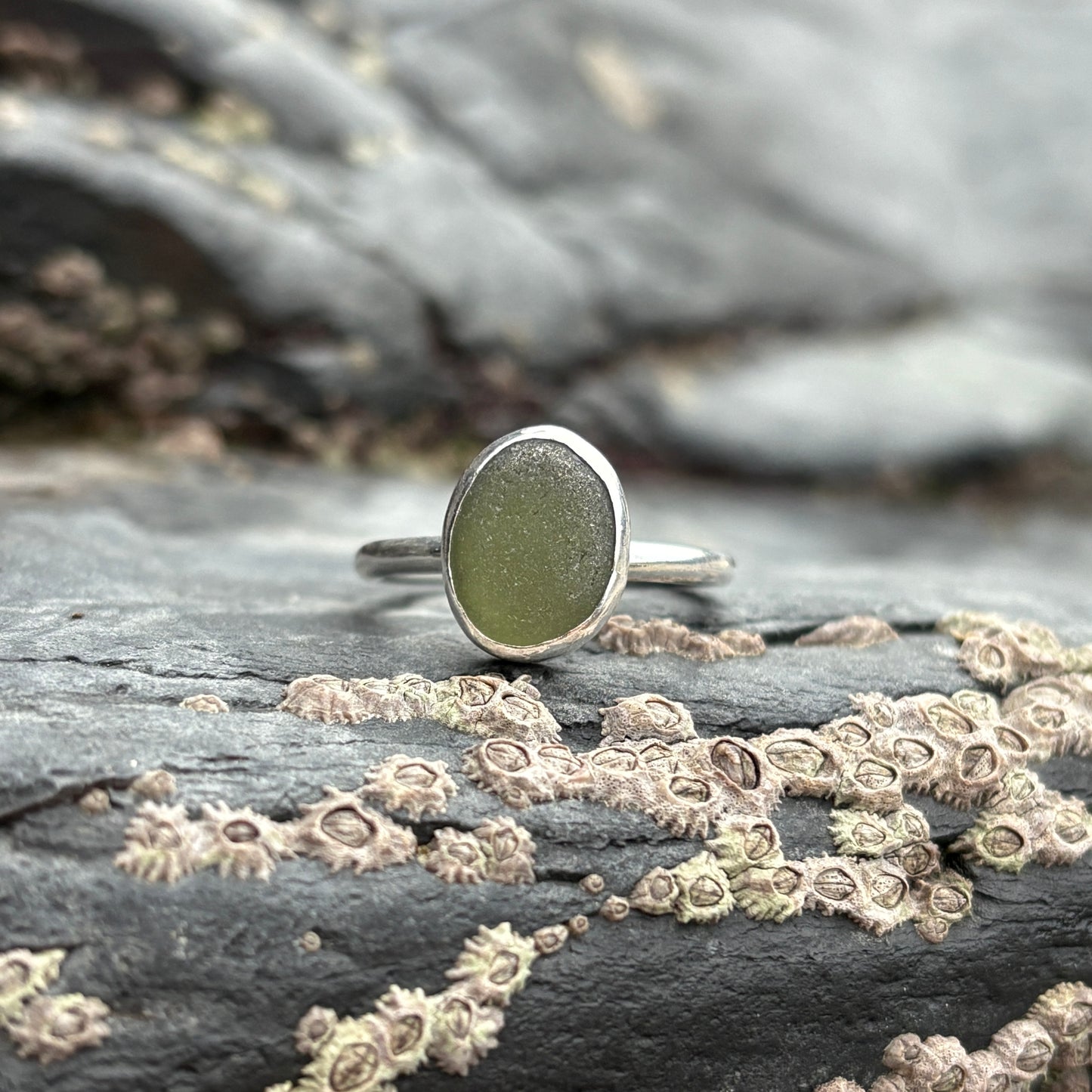 Olive Green Headland Ring - O (UK) image 1