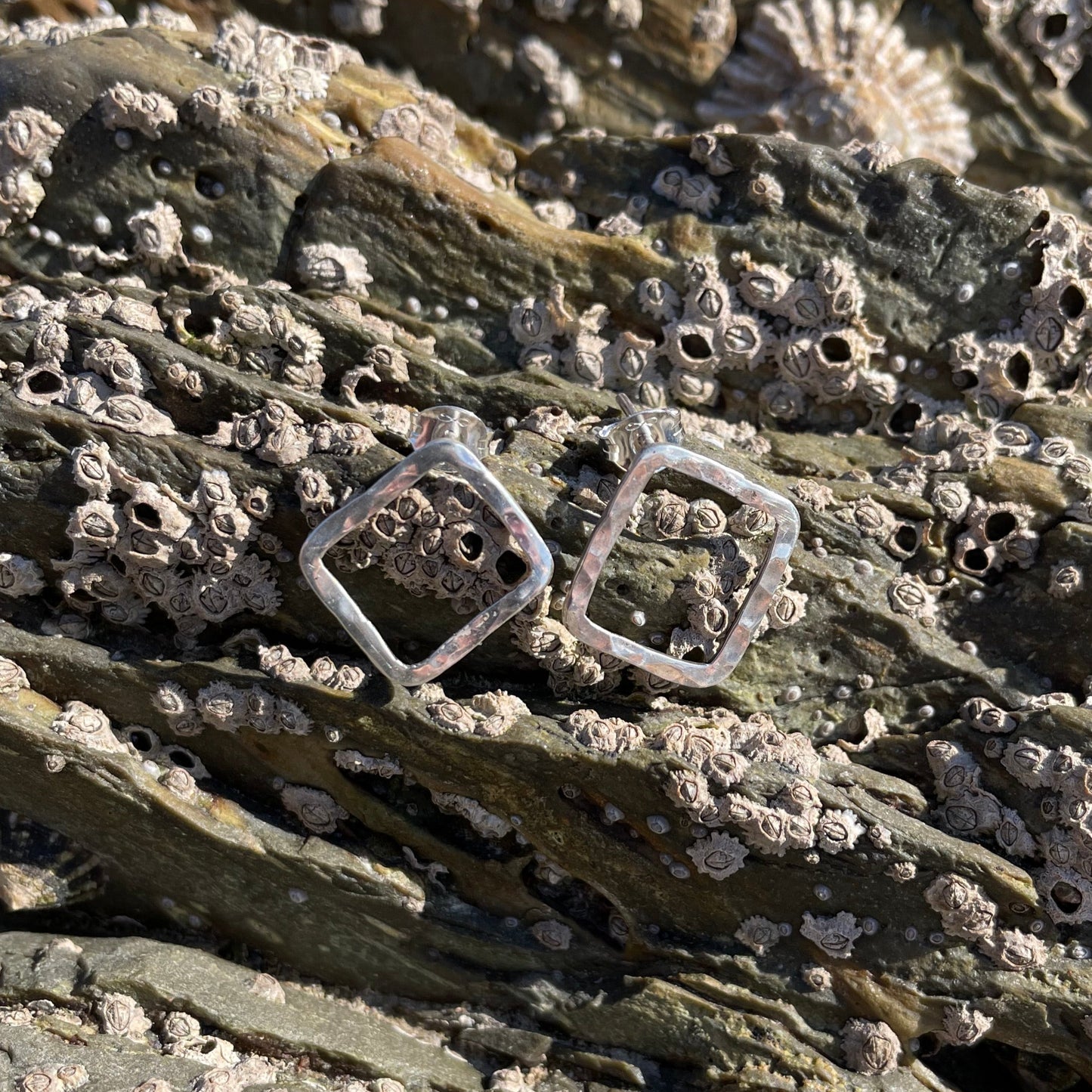 Harbour Studs image 1