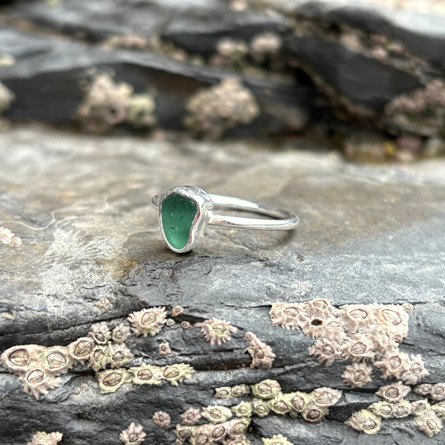 Barnacle stacker ring Turquoise - R (UK) image 4