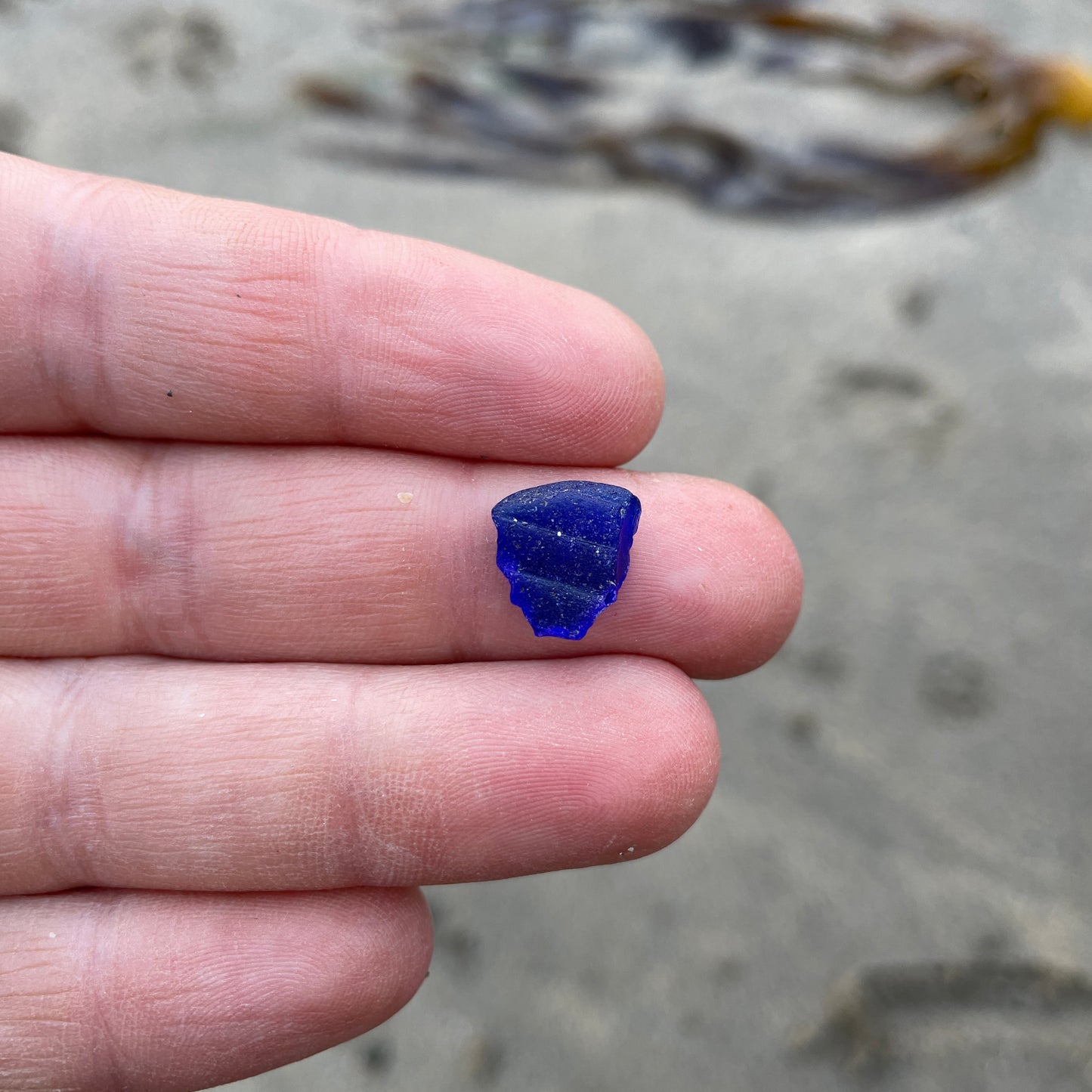 Cobalt Blue (rare) image 1