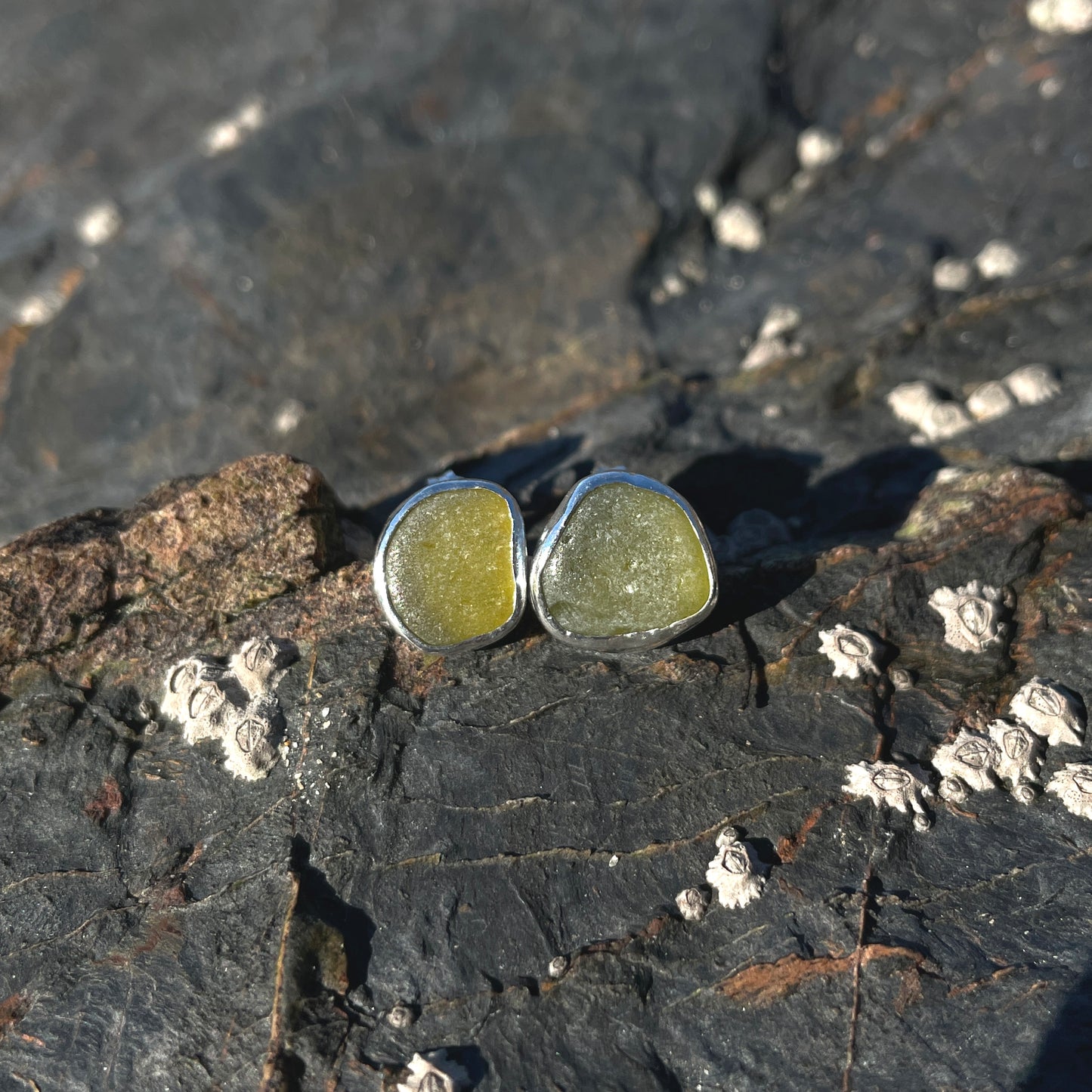 Olive Green Sea Glass Pebble Stud earrings
