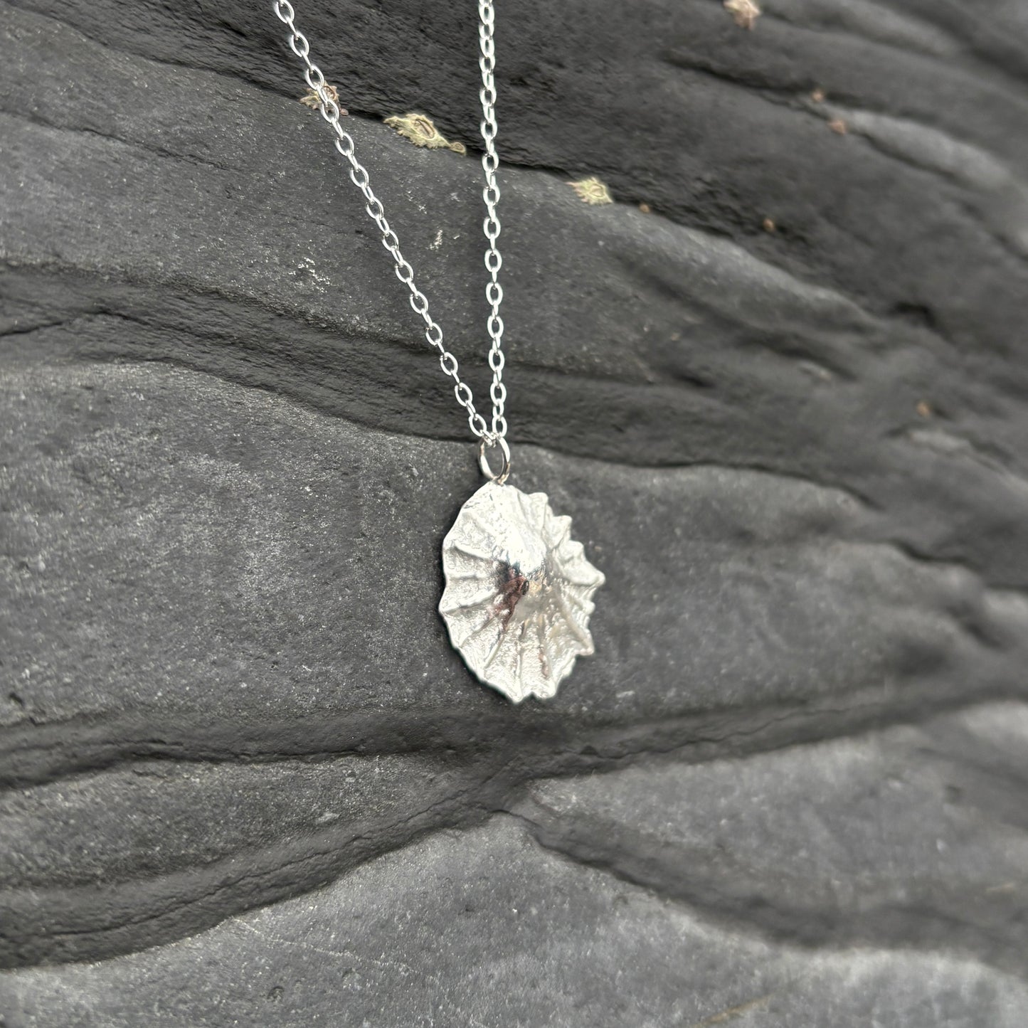 Silver Limpet Shell Necklace