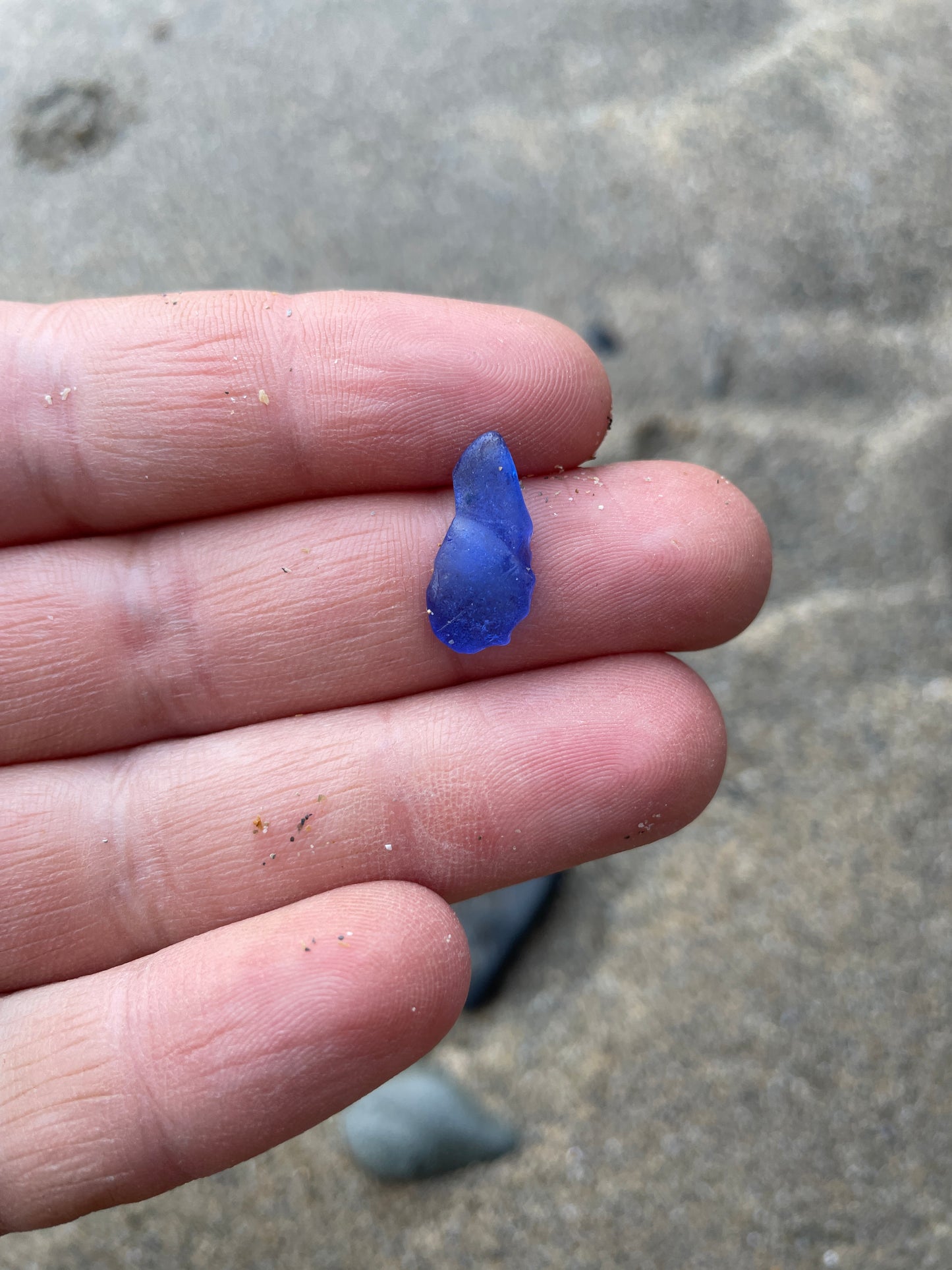 Cobalt Blue (Rare) image 1