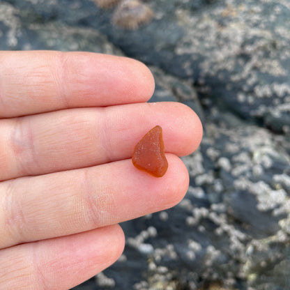 Amber image 1