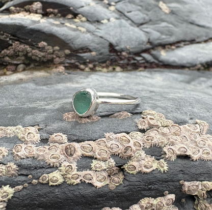 Barnacle stacker ring turquoise - R (UK) 8.5 (US)